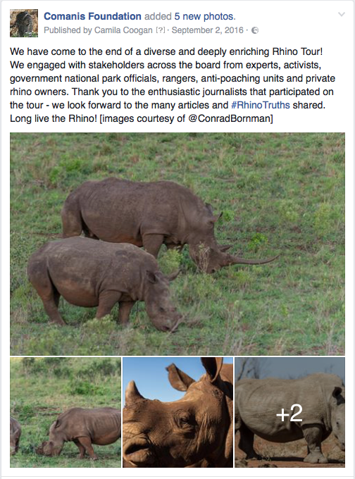 Rhino Press Tour