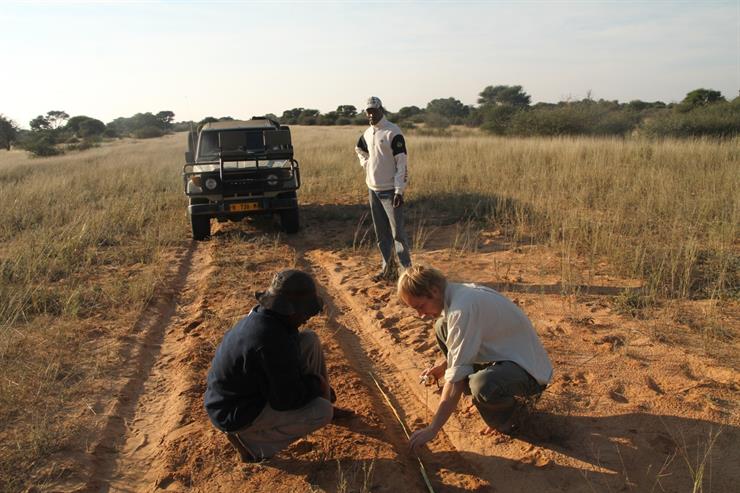 Trackers on the front of the car