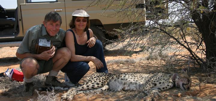 The Kgalagadi Cheetah Study