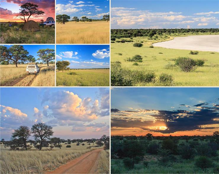 kalahari landscape