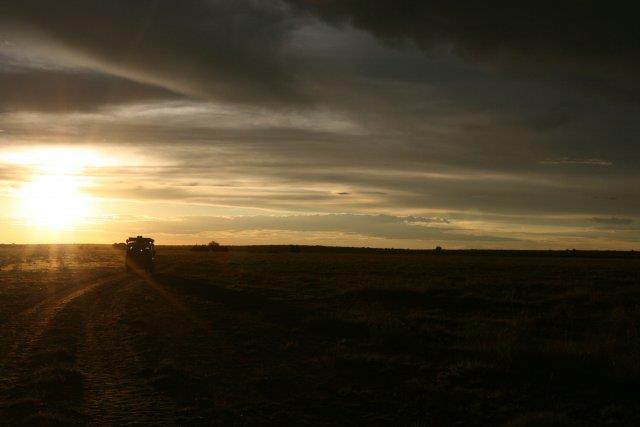 Landscape