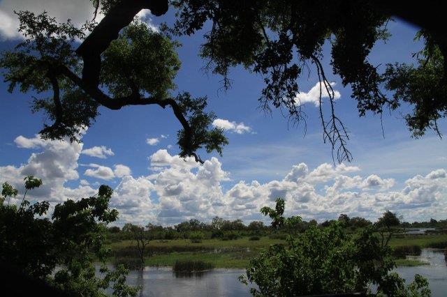 Landscape