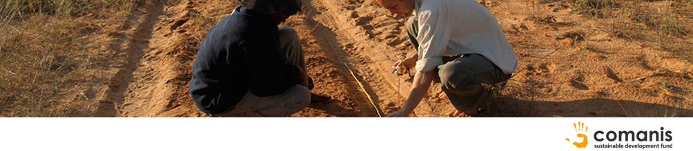 Spoor Survey