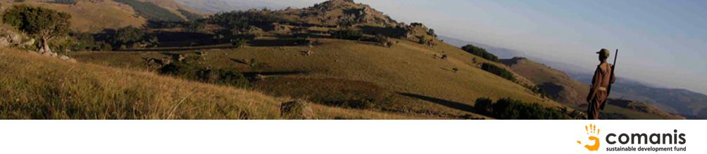 Comanis-Mlilwane North